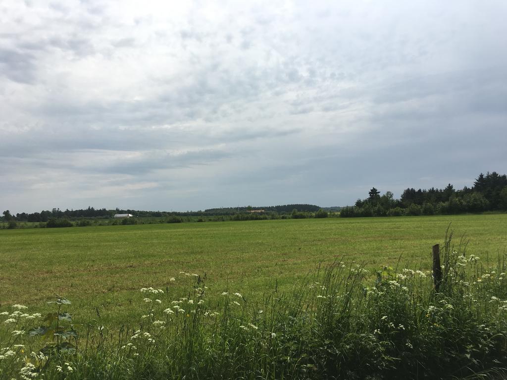 Skovhuset Villa Uggerby Kültér fotó