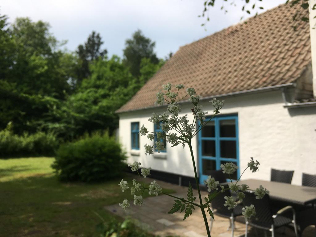 Skovhuset Villa Uggerby Kültér fotó